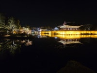 천년 신라의 경주여행기 > 인기 게시물 | 시보드 천년 신라의 경주여행기