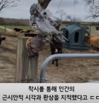 미대생도 벽느끼는 현대미술.jpg > 인기 게시물 | 시보드 미대생도 벽느끼는 현대미술.jpg