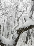 소백산 다녀왔다 > 인기 게시물 | 시보드 소백산 다녀왔다