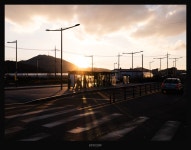 당신의 크리스마스는 (20장) > 인기 게시물 | 시보드 당신의 크리스마스는 (20장)