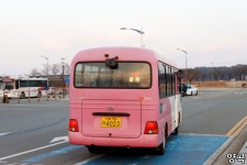[3]파주 - 강릉 당1일치기 시내버스 일주 > 인기 게시물 | 시보드 [3]파주 - 강릉 당1일치기 시내버스 일주