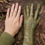 우리 모두(인간)가 자연이다 > 인기 게시물 | 시보드 우리 모두(인간)가 자연이다