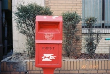 필린이 귀찮아서 미룬 25년 1년간 찍은 4롤 결산 > 인기 게시물 | 시보드 필린이 귀찮아서 미룬 25년 1년간 찍은 4롤 결산