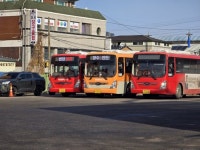 시내버스로 전북 한바퀴 돌기 > 인기 게시물 | 시보드 시내버스로 전북 한바퀴 돌기
