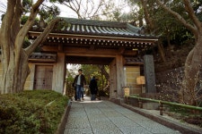 사진이 기깔라는 청돼 성지순례 #1 [가마쿠라, 호코쿠지] > 인기 게시물 | 시보드 사진이 기깔라는 청돼 성지순례 #1 [가마쿠라, 호코쿠지]