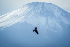 시즈오카 후지산 > 인기 게시물 | 시보드 시즈오카 후지산