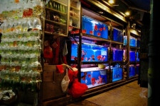 디첩 홍콩 스트릿 > 인기 게시물 | 시보드 디첩 홍콩 스트릿