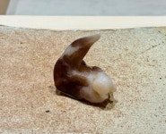 정대 디너 > 인기 게시물 | 시보드 정대 디너