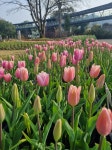 어무니랑 함께 한 7박 8일 산인 여행기 - 1 > 인기 게시물 | 시보드 어무니랑 함께 한 7박 8일 산인 여행기 - 1