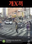 어린이 무시하고 횡단보도 지나가는 르노 레전드 ㅋㅋ > 인기 게시물 | 시보드 어린이 무시하고 횡단보도 지나가는 르노 레전드 ㅋㅋ