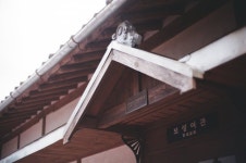 벌교 출사 고봉밥 대령해왔읍니다...^^7 > 인기 게시물 | 시보드 벌교 출사 고봉밥 대령해왔읍니다...^^7