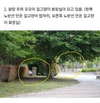 캣맘들로 인한 거제 웰빙공원 상태 > 인기 게시물 | 시보드 캣맘들로 인한 거제 웰빙공원 상태