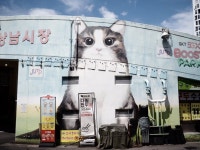 창원 상남동,소답동 20장 > 인기 게시물 | 시보드 창원 상남동,소답동 20장