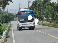 [2026. 06. 08.] 인천 → 부산 시내버스 여행기 > 인기 게시물 | 시보드 [2026. 06. 08.] 인천 → 부산 시내버스 여행기
