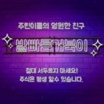 관심주 공부 > 주식 | 시보드 - 종합 커뮤니티 관심주 공부