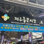 지금 제주도 관광객 ㅈ된 상황 .jpg > 인기 게시물1 | 시보드 - 종합 커뮤니티 지금 제주도 관광객 ㅈ된 상황 .jpg