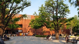 [혜화산책] 마로니에 공원 한 켠을 지키는 사람 | 경제정의실천시민연합 [혜화산책] 마로니에 공원 한 켠을 지키는 사람