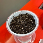 バッカス的オススメ〜たがやすBEANS JAPAN編〜｜ビームス ジャパン 渋谷｜BEAMS バッカス的オススメ〜たがやすBEANS JAPAN編〜