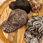 ビームス ハウス 名古屋（143877） フォトログ｜BEAMS ビームス ハウス 名古屋フォトログ