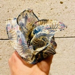 ビームス 熊本（700033） フォトログ｜BEAMS ビームス 熊本フォトログ