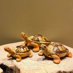 ビームス ジャパン 渋谷（847016） フォトログ｜BEAMS ビームス ジャパン 渋谷フォトログ