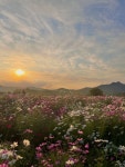 양주나리공원방문 - 포동 | 커뮤니티