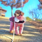 조용한 산책길~^^ - 포동 | 커뮤니티