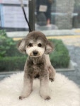 미용실 - 포동 | 커뮤니티