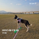 오완산 11km 264m - 포동 | 커뮤니티