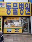 성남시 수정구 수진동에 있는 동물병원에소식 - 포동 | 커뮤니티