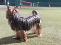 울동네 운동장에서 - 포동 | 커뮤니티