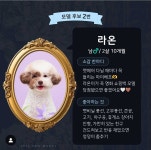 마이베프 쇼핑백모델 본선진출!! - 포동 | 커뮤니티