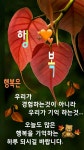 휴일이라 동네가 썰렁하네 - 포동 | 커뮤니티