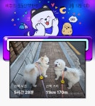 행복 - 포동 | 커뮤니티