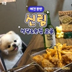 신림 애견동반 맛집·술집 추천! - 포동 | 커뮤니티