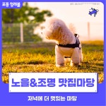 노을&조명 맛집 : 저녁에 더 멋있는 마당 - 포동 | 커뮤니티 노을&조명 맛집 : 저녁에 더 멋있는 마당  - 포동 | 커뮤니티