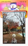미용 가기전 산책~🥰🐕🐾 - 포동 | 커뮤니티