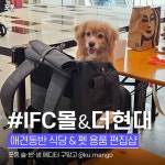 IFC몰 & 더현대 서울 …애견동반 맛집 & 펫 브랜드 편집숍 - 포동 | 커뮤니티