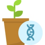 상현육기생식 | Gmo - Free nature icons Gmo free icons designed by dDara