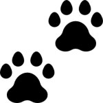 Pawprints - Free animals icons Pawprints free icons designed by Freepik
