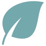 잎 - 무료 자연개 아이콘 아티스트가 디자인한 잎 종의 무료 아이콘