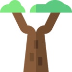 Baobab - Free nature icons Baobab free icons designed by Freepik