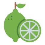 라임 - 무료 개 아이콘 아티스트가 디자인한 라임 종의 무료 아이콘