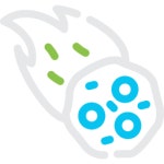 유성 - 무료 개 아이콘 아티스트가 디자인한 유성 종의 무료 아이콘
