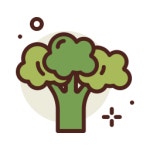 Broccoli - Free food and restaurant icons Broccoli free icons designed by Darius Dan