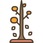 Tree - Free nature icons Tree free icons designed by berkahicon