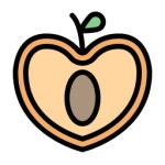 Peach - Free food and restaurant icons Peach free icons designed by Sebastian Belalcazar