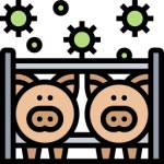 Swine - Free healthcare and medical icons Swine free icons designed by Eucalyp