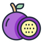 Passion fruit - Free food icons Passion Fruit free icons designed by Khoirul Huda
