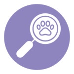 Find - Free animals icons Find free icons designed by Creatype